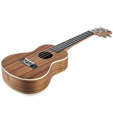 ADM Adult Ukulele Concert 23 inch Hawaiian Solid Koa Wood Aquila Strings Student Beginner Bundle