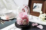 Amoleya 4.9 Inch Handmade Preserved Rose Enchanted Rose that Lasts in Glass Dome,Pink