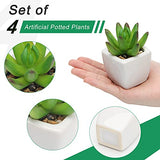 Coitak Fake Succulent Plants in Pots, Mini Assorted Artificial Faux Succulents, Potted Fake Cactus Cacti Plants with Ceramic Pots, Set of 4