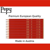 Pepy Aero Graphite Professional Drawing Pencil Set– Full Range Set of 12 Lead Grades for Drawing, Sketching and Shading; Perfect Pencil Set for design, graphic art, and fine art.