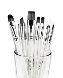 Adi's Art Pro Paint Brushes Set for Acrylic Oil Watercolor, Artist Face and Body Professional
