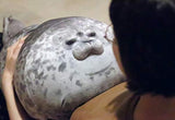 Rainlin Fidget Pillow Chubby Blob Seal Pillow Stuffed Animal Plush Toy Grey Large (23.6 inch Length)