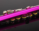 Glory Closed Hole C Flute With Case, Tuning Rod and Cloth,Joint Grease and Gloves-Pink Color