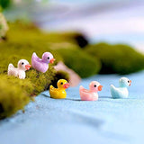 ZAMTAC 5pc Colorful Duck Mini Animal Miniatura Dollhouse Garden Home Bonsai Decoration Miniature Craft Ornament Micro DIY Cake Decor - (Color: Average)