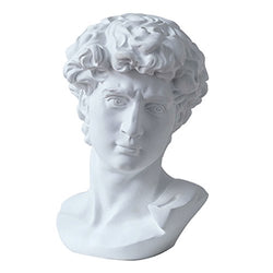 LKXHarleya 6 Inch Classic Greek Michelangelo David Bust Statue Replica Sculpture Figurine for Artist