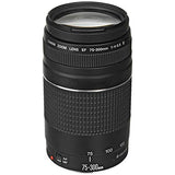 Canon EF 75-300mm f/4-5.6 III Telephoto Zoom Lens with 2X Telephoto Lens, HD Wide Angle Lens, Filters and Accessories (19 Piece Bundle)