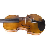 Cecilio CVN-500 Solidwood Ebony Fitted Violin with D'Addario Prelude Strings, Size 4/4 (Full Size)