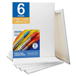 FIXSMITH Stretched White Blank Canvas - 16 x 20 Inch,Pack of 6,Primed,100% Cotton,5/8 Inch Profile of Super Value Pack for Acrylics,Oils & Other Painting Media.