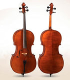 D Z Strad Model 300 handmade Cello with Case, Bow and Rosin