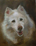 DOG or Pet Portrait Authentic Oil Painting from your picture. Size 8X10 inch. Memorial, Dog, Cat any Animal for keepsakes and great gift ideas.