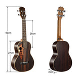 23-inch Hawaii ukulele rosewood professional concert Ukulele send tuner trim folder thick piano bag
