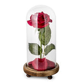 "Beauty and the Beast" Rose Kit, Red Silk Rose and Led Light with Fallen Petals in Glass Dome on