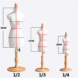 KAKM Dressform Manequin for Sewing Mini Dressmakers Dummy Famale, Tailor Manikins Doll Dress Form Display Dollhouse Accessories Decoration, Adjustable Height (Color : Portions Paste line, Size : 1/2)