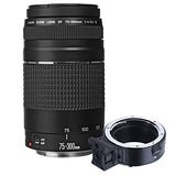 Canon EOS R Mirrorless Digital Camera with 24-105mm f/4-7.1 Lens Bundle + 75-300mm F/4-5.6 III Lens + 128GB Memory + Case + Filters + Tripod (26pc Bundle)