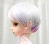 (22~24cm) 1/3 BJD Doll MSD Fur Wig Dollfie Mixed & Gradients Color / 007-A(FEB113)