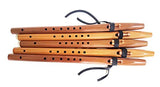 Stellar Basic Flute Key of A - Native American Style Flute with Carrying Case (Natural Heartwood Cedar)