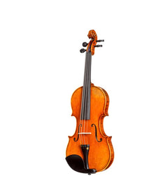 D Z Strad Model 365 Violin 3/4 Size with Open Clear Tone with Dominant strings, Case, Bow and Rosin (3/4 - Size)