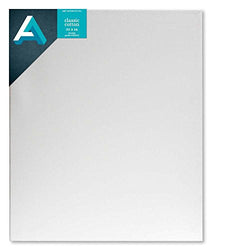 AA Studio Stretched Canvas Case/10 20X24