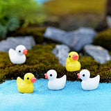 ZAMTAC 5pc Colorful Duck Mini Animal Miniatura Dollhouse Garden Home Bonsai Decoration Miniature Craft Ornament Micro DIY Cake Decor - (Color: Average)