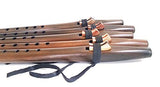 Stellar Basic Flute Key of G - Dark Stained Cedar Native American Style Flute with Carrying Case