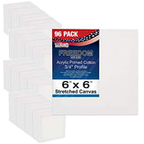 US Art Supply 6 x 6 inch Professional Quality Acid Free Stretched Canvas 96-Pack - 3/4 Profile 12 Ounce Primed Gesso - (1 Full Case of 96 Single Canvases)