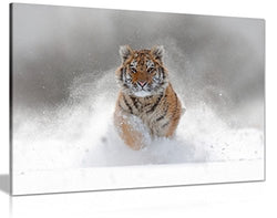 Siberian Tiger Running in Snow Wildlife Nature Canvas Wall Art Picture Print (36x24in)