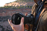 NIKON NIKKOR Z 14-24mm f/2.8 S Ultra-Wide Angle Zoom Lens for Nikon Z Mirrorless Cameras