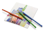 Faber-Castell Polychromos Artists' Color Pencils 12pc