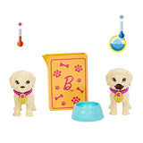 Barbie Doll and Accessories Pup Adoption Playset with Brunette Doll in Purple, 2 Puppies, Color-Change Animal and Pee Pad, Working Carrier and 10 Pieces