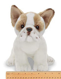 Bearington Collection Frenchie Plush Stuffed Animal French Bulldog Puppy Dog, 13 inches