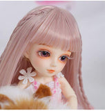 6 in BJD Doll SD Doll Products Include with All Clothes Outfit Shoes Wig Hair Makeup for Girl Gift and Dolls Collection