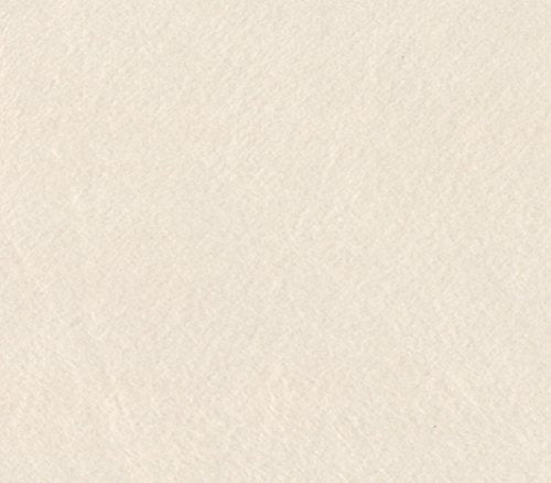 Minky Solid Blanket Fabric 60" Wide Sold By The Yard (IVORY)