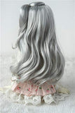 Doll Wigs JD506 7-8inch 18-20CM Grey Long Wave BJD Wigs
