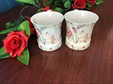 Lightahead Elegent Bone China Unique Set Of Two Coffee Tea Mugs 10 oz each cup set in attractive