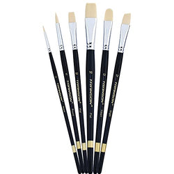 Transon Paint Brush Set 6pcs Art Painting Synthetic Bristle for Acrylic Watercolor Gouache Oil Leather Canvas and Face Painting