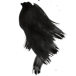 Daler-Rowney FW Artists' Ink black 6 oz.