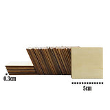 Twdrer 100PCS Unfinished Blank Wood Squares, Wooden Squares Cutout Tiles for DIY Arts Crafts,