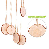 Natural Wood Slices Craft Wood kit Unfinished Predrilled with Hole Wooden Circles Great for Arts