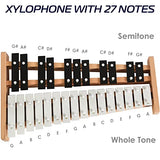 MINIARTIS Glockenspiel Xylophone | Full Size Glockenspiel Xylophone 27 Note Metal Keys for Adults & Kids | Percussion Instrument Includes 2 Wooden Beaters and Carry Case
