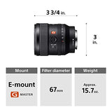 Sony E-mount FE 24mm F1.4 GM Full Frame Wide-angle Prime Lens (SEL24F14GM), Black