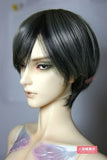 BJD Doll Hair Wig 8-9 inch 20-22cm Mixed color grey black 1/3 SD DZ DOD LUTS