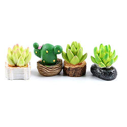 Chris.W Set of 4 Lovely Cactus Dollhouse Miniature Succulent Plants Figurines Fairy Garden Terrarium Supplies Ornaments Decoration