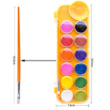 Watercolor Paint Set, 12 Colors Artist Paint Palette Set with Paint Brush, TINOMAR Water Color Palette Tray Kit with Painting Brush for Kids and Beginners (Orange)