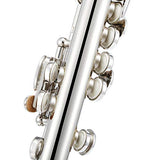 Eastar EPC-2S Silver Plated Piccolo Key of C 2-Piece With Hard Case Fingering Chart, Cleaning Rod, Cloth, Swab and Gloves