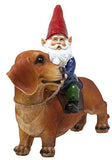 Funny Guy Mugs Gnome and a Dachshund Garden Gnome Statue- Indoor/Outdoor Garden Gnome Sculpture for Patio, Yard or Lawn