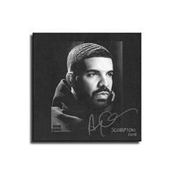 FINDEMO Drake, Scorpion? Art Music Album Poster Painting Canvas Art Poster and Wall Art Picture Print Modern Family Bedroom Decor Posters /0142 (Unframed,12x12 inch)