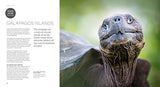 Wildlife Photography: An expert guide