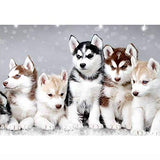 DIY 5D Diamond Painting Kits for Adults Full Drill Embroidery Paintings Rhinestone Pasted DIY Painting Cross Stitch Arts Crafts for Home Wall Decor 30x40cm/11.8×15.7Inches（Lovely Huskies,Dogs)