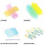 Dong-A Oil Pastels 12 Color Set, School Supplies Indoor Activities at Home, School, Assorted Colors Art Crayons