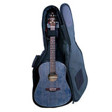 Seagull S6 Original Acoustic Guitar Limited Edition Faded Blue with Bag